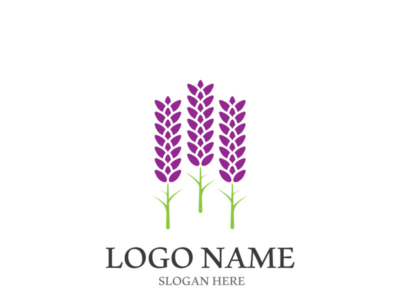 Fresh lavender flower logo vector flat design