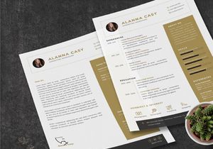 Clean CV Resume Template - Manager