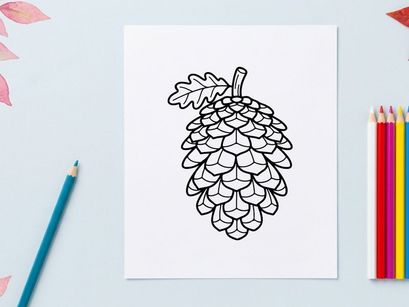 Ilustração de pinha desenhada à mão. Esboço botânico artístico para design de natureza.
