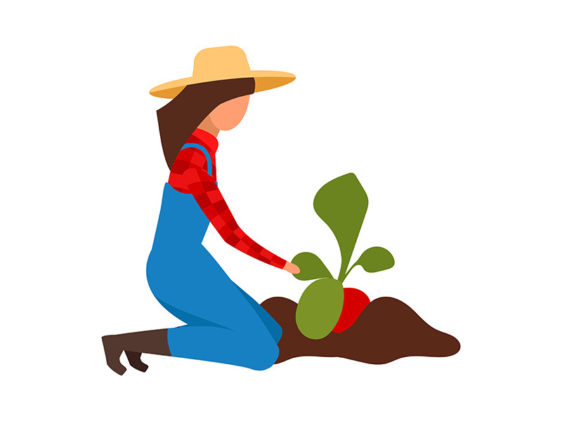 Female farmer digging up ripe beetroots flat vector illustration