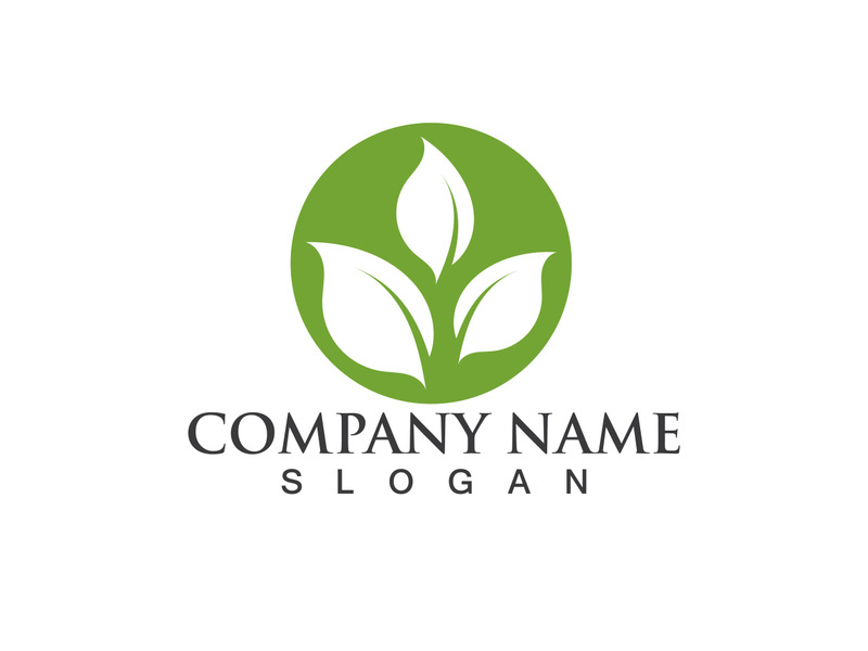 Green leaf logo Vector