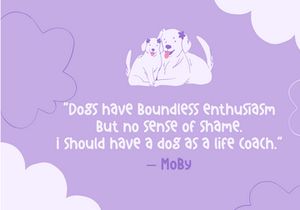 Super Dog - Cute Playful Monoline Display