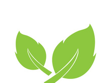 Leaf logo vector icon design template