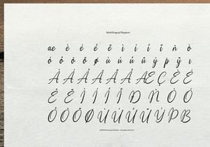 Moonlit Muse | Handwritten Script Font