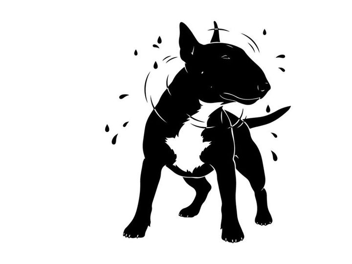 Silhouette of a bull terrier dog in motion with dynamic lines