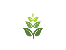 Eco green icon illustration design