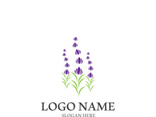 Lavender flower vector icon illustration design template