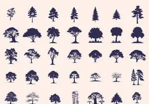 Silhouettes Trees Set, Pine Tree fir pruce cedar white patch alder elm birch ash cypress beech palm tree.