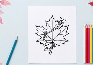 Elegant line art of a maple leaf with swirling details. Artistic botanical illustration for design projects.