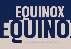Flatline - Display Sans