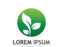 Natural green leaf logo.