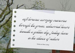 Kasfia Sirius | Classic Script