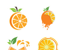 Orange logo design vector icon illustration design