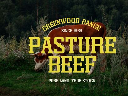 Dupreh Forge | Western Slab Serif