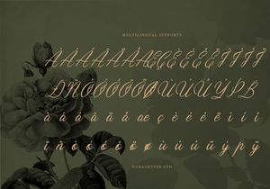 Ubel Amour | Elegant Vintage Script