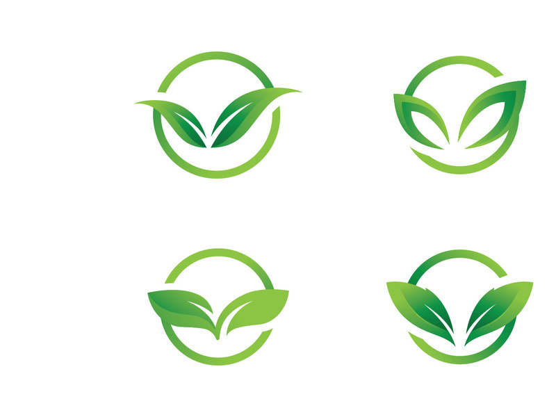 Green leaf logo design template modern leaf logo vector