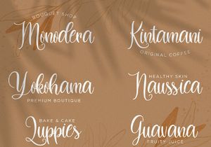 Dilan Whemsy - Modern Script Font