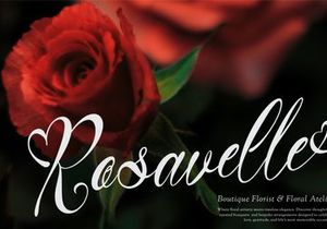 Jamytta | Romantic Script