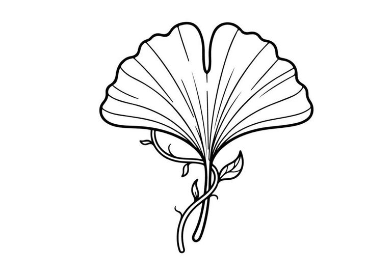 Elegant fan-shaped leaf with delicate veins. Artistic botanical illustration showcasing natural beauty and intricate details.