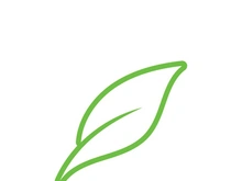 leaf logo green ecology nature element vector image