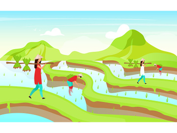 Rice plantation flat vector illustration preview picture