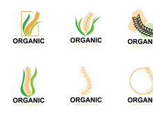Wheat Rice Logo Vector Design