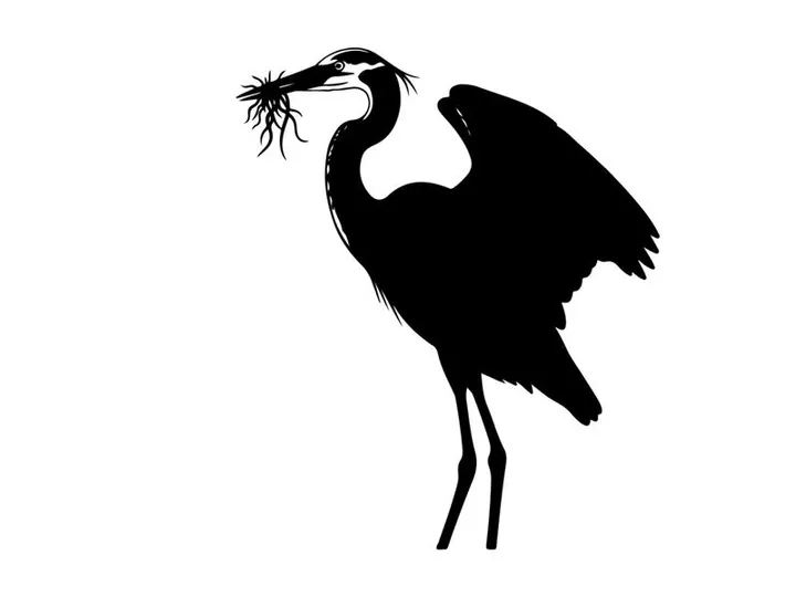 Silhouette of a heron building a nest with twigs and branches
