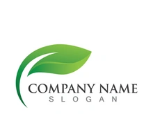 Green leaf logo design template modern leaf logo vector