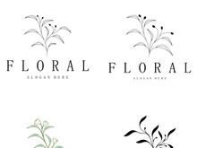 Elegant floral and leaf frame. Delicate botanical vector illustration for labels, spas, corporate identity, and wedding invitations