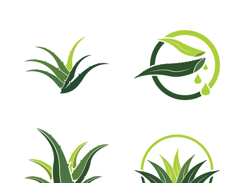Aloe Vera logo icon design symbol beauty skin care