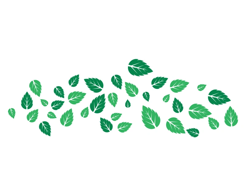 Mint Leaf icon template  illustration
