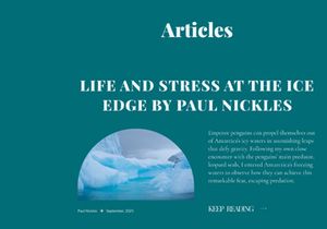 Cutura Blog Template
