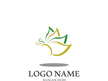 Butterfly logo icon vector design illustration