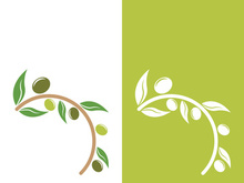 olive icon vector illustration design template