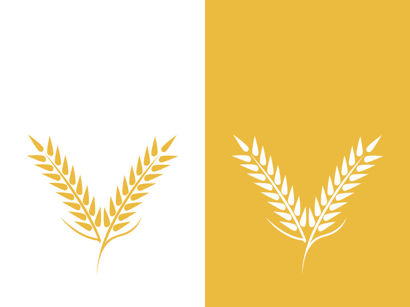 Wheat logo vector icon illustration design