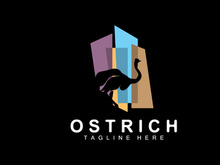 Ostrich Logo Design, Desert Animal Illustration