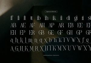 Yerindar | Modern Display Serif