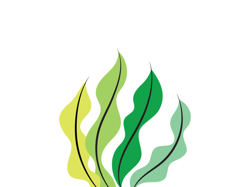 seaweed sea of nature logo vector illustration design