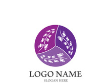 Lavender flower vector icon illustration design template