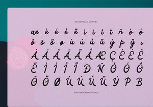 Traffic Rolland | Casual Handwritten