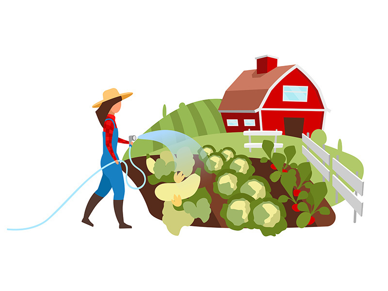 Vegetable farming flat illustration