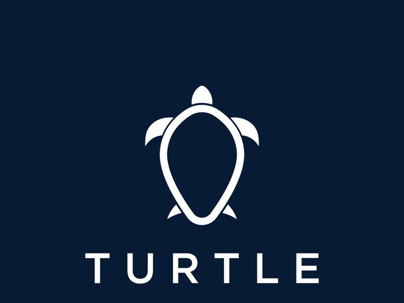 Turtle logo with a creative concept