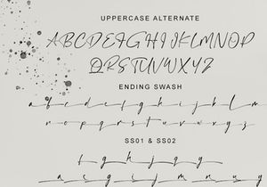 Hamiltone Signature font
