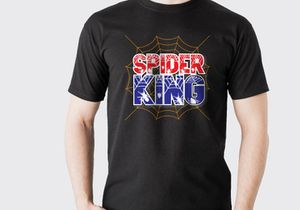 Spider Webs