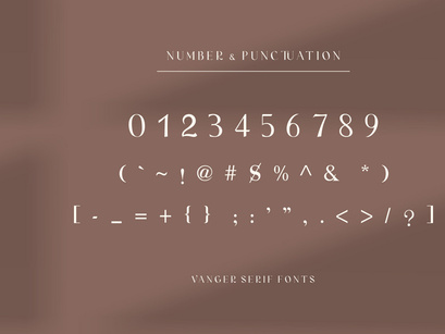 Vanger _ modern serif font