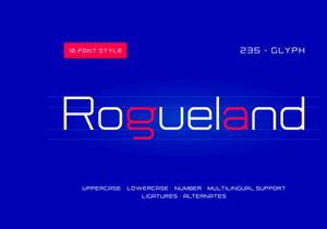NCS Rogueland