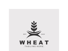 Wheat logo concept, agriculture nature wheat grain logo template