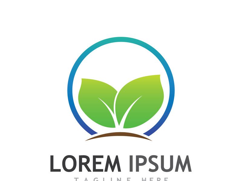 Natural green leaf logo.