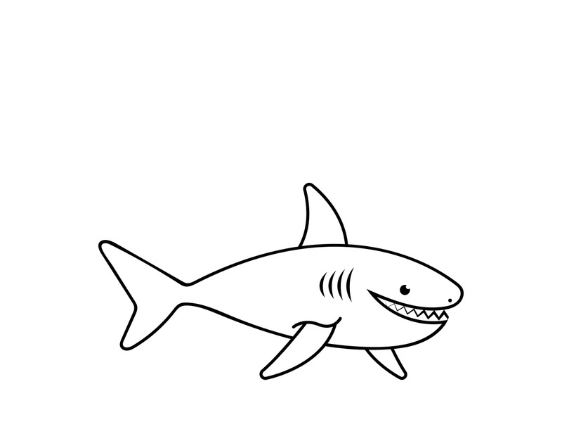 Shark illustration logo template vector