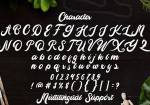 Cameliya - Bold Script Font